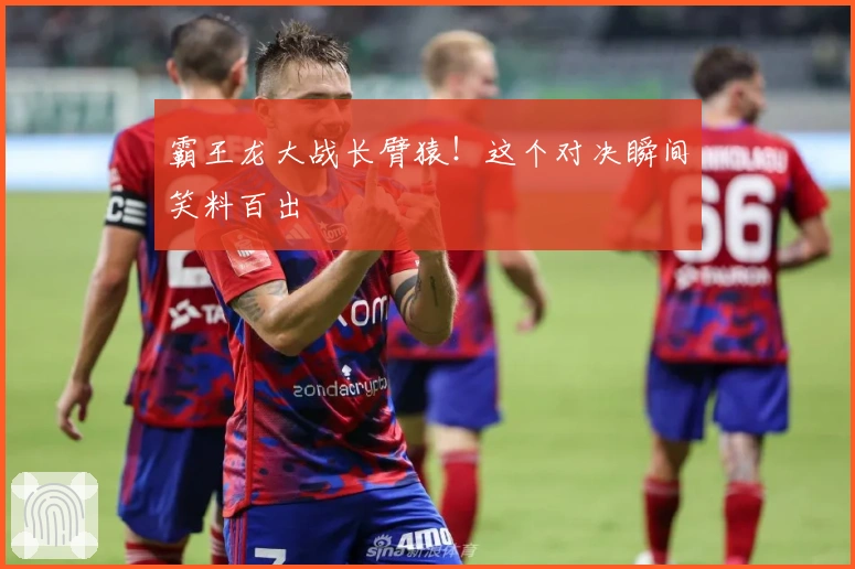 霸王龙大战长臂猿！这个对决瞬间笑料百出