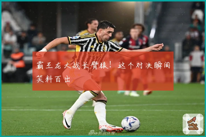 霸王龙大战长臂猿！这个对决瞬间笑料百出